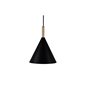 Enif Pendant Lamp D200*H255 Black