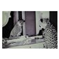 Tavla Cheeta - 100x150cm - Glas