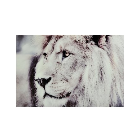 Maalaus Lion - 120x80cm - Lasi
