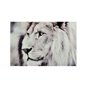 Maalaus Lion - 120x80cm - Lasi