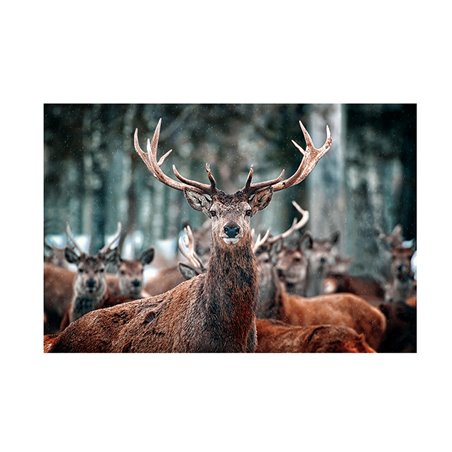 Tavla Oh Deer - 120x80cm - Glas