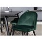 Velvet Dining Chair - Green / Black