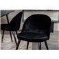 Velvet Dining Chair Brass - Black / Black