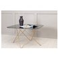 Tristar Sofa Table - Brushed Brass / Black glass Marble