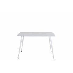 Polar Dining table 120 cm - White White