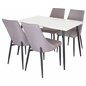 Polar Dining Table - 120*75*H75 - White / Black, Leone 2 Dining Chair - Grey / Black_4