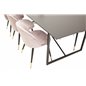 Palace Spisebord - 240 * 100 * H75 - Sort / Sort, Velvet Spisebordsstol Messing - Pink / Sort_6