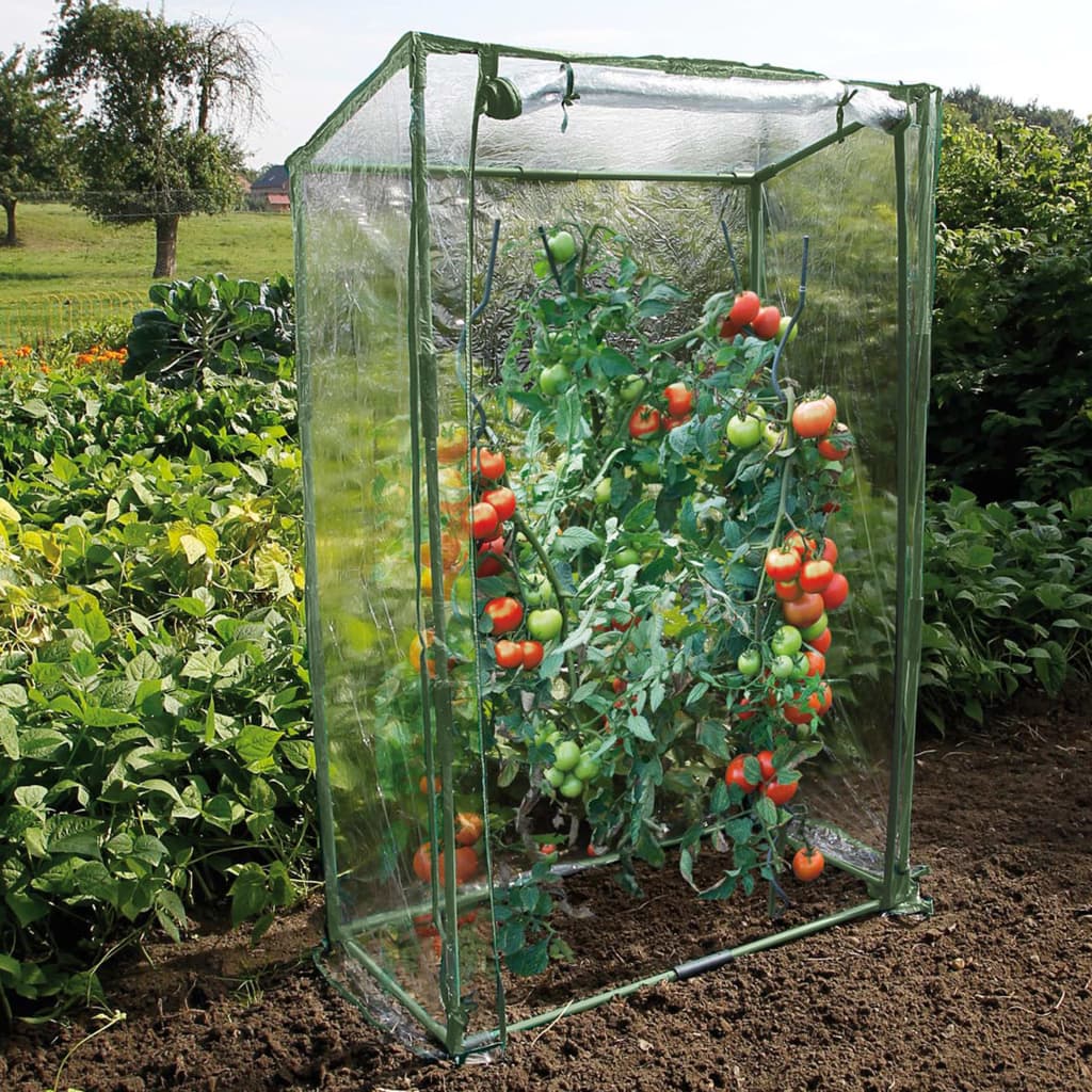 Växthus för tomatodling 100x50x150 cm